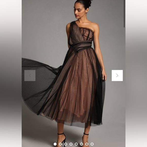 Anthropologie Dresses & Skirts - Anthropologie Tulle Dot Maxi Dress